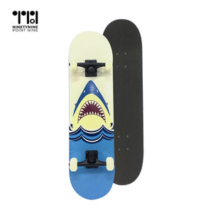 Classic Skateboard for Kids/Teens/Adults [WX-902S]