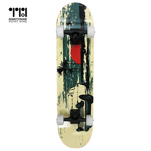 Skateboard for Teens/adults [WX-902Y]