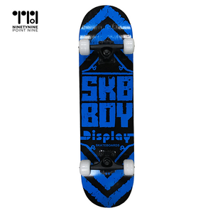 Skateboard for Teens/adults [WX-902Y]