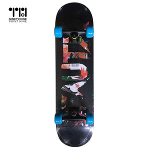 Skateboard para sa mga Teenagers/adults [WX-902Y]