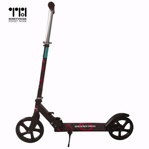 Scooter for Teens/adults [DM-1]